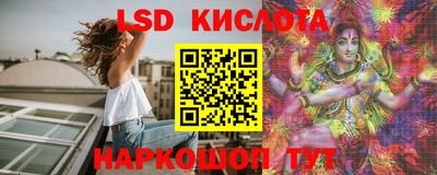 дживик Кингисепп