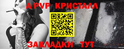 дживик Кингисепп