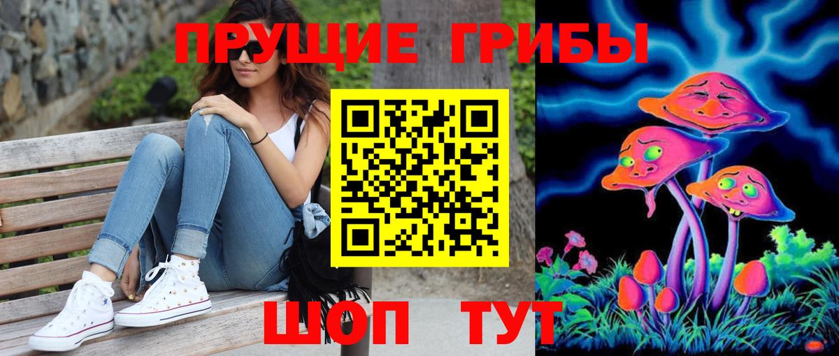Краснознаменск  Псилоцибиновые грибы Psilocybe  Вход с VPN  Галлюциногенные грибы мухоморы 